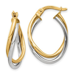 Gold Earring Collection